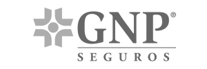 GNP-seguros