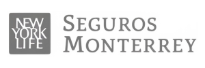 Monterrey-seguros